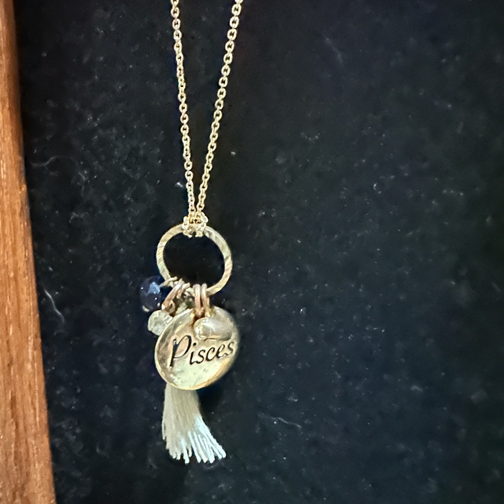 Pisces necklace